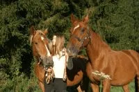 Jura horses