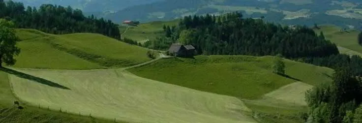 Rolling green farmland in Switzerland