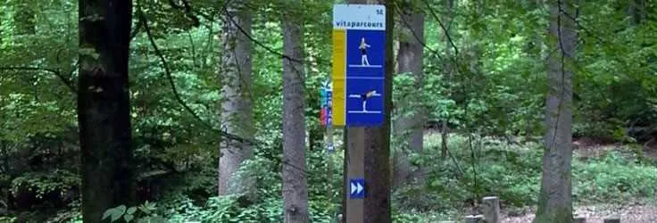 Marked hiking trail through a Swiss forest