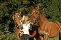 Jura horses